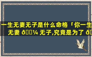 一生无妻无子是什么命格「你一生无妻 🐼 无子,究竟是为了 🐵 什么」